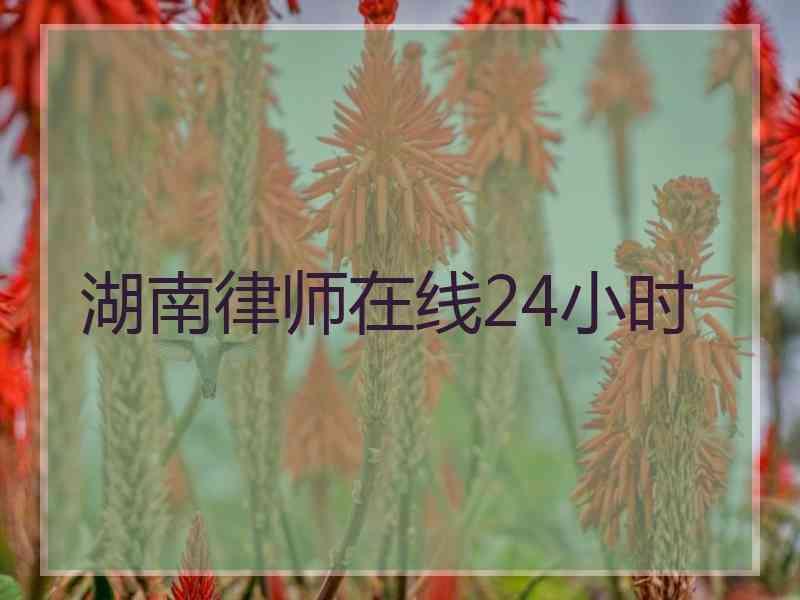 湖南律师在线24小时