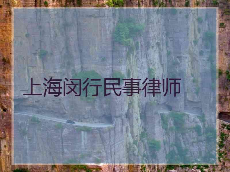 上海闵行民事律师