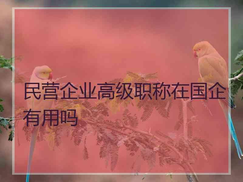 民营企业高级职称在国企有用吗