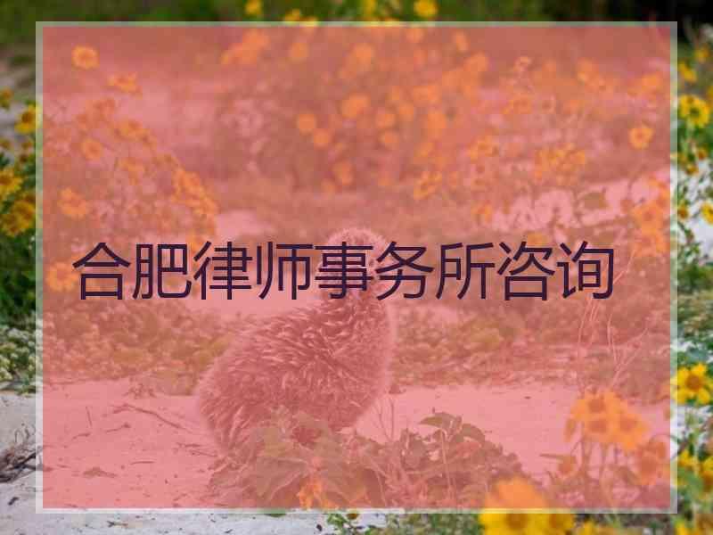 合肥律师事务所咨询