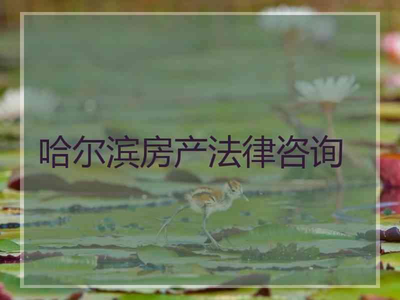 哈尔滨房产法律咨询