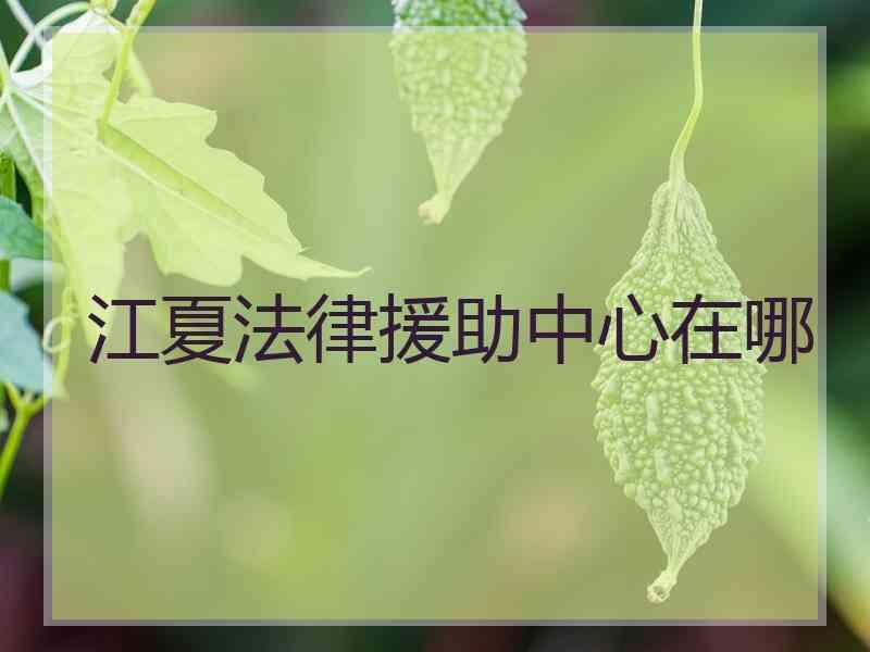 江夏法律援助中心在哪