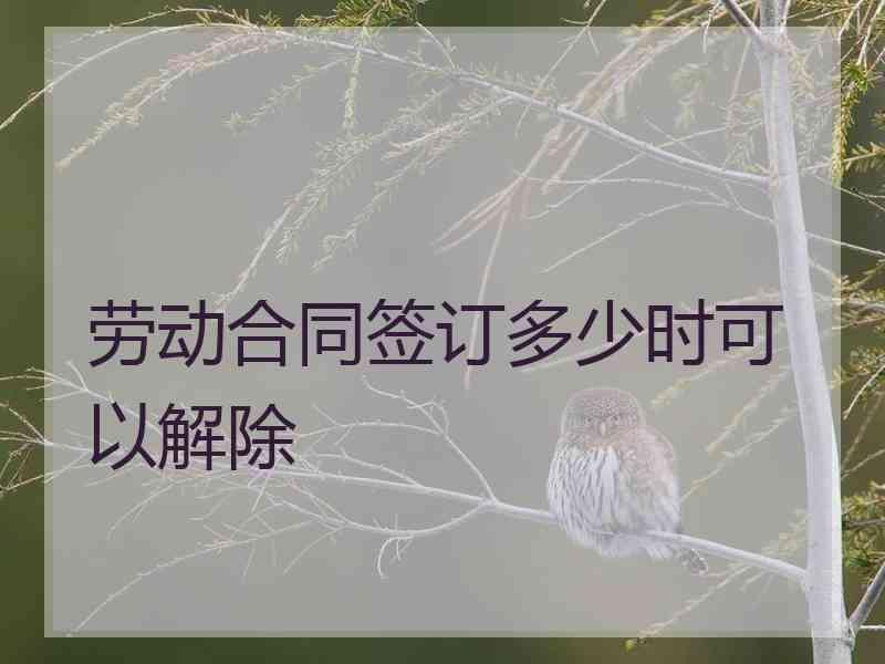 劳动合同签订多少时可以解除