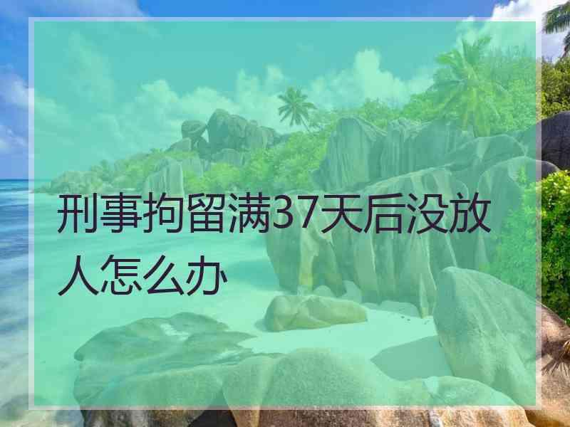 刑事拘留满37天后没放人怎么办