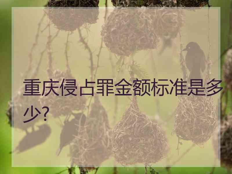 重庆侵占罪金额标准是多少?