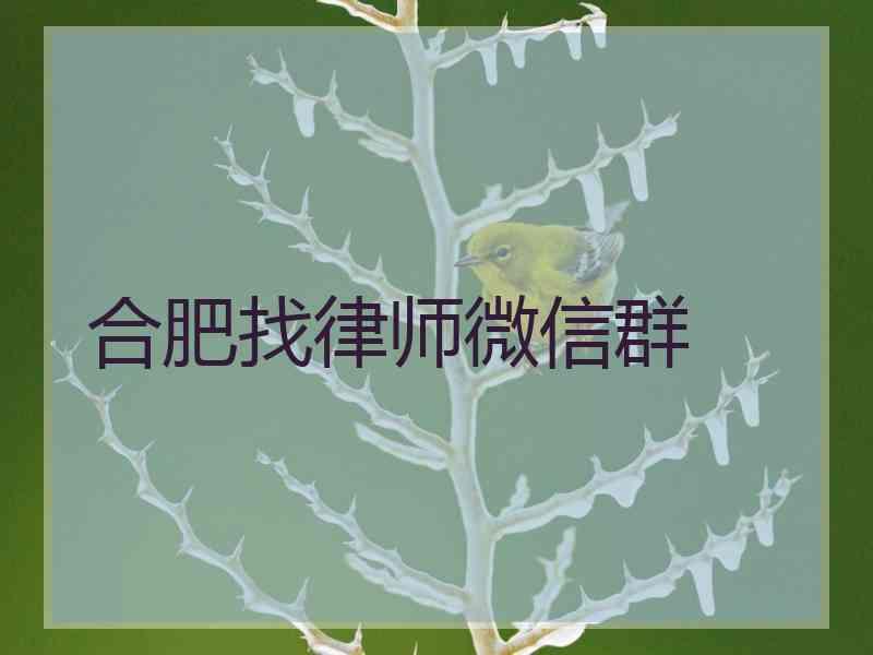 合肥找律师微信群