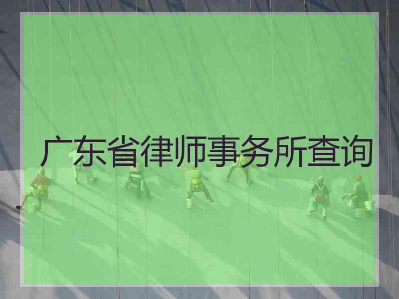 广东省律师事务所查询