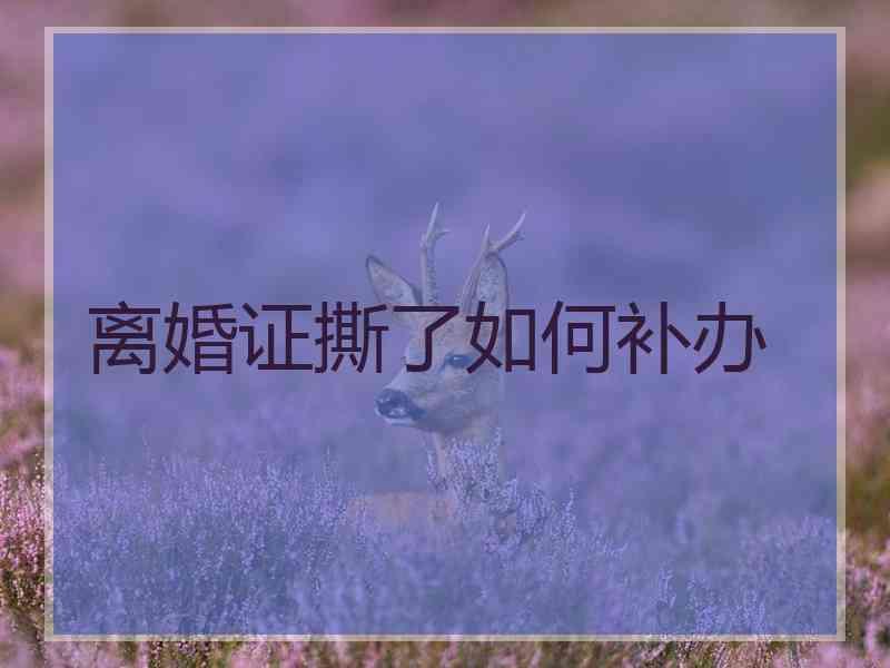 离婚证撕了如何补办