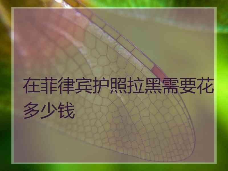 在菲律宾护照拉黑需要花多少钱