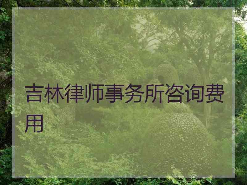 吉林律师事务所咨询费用