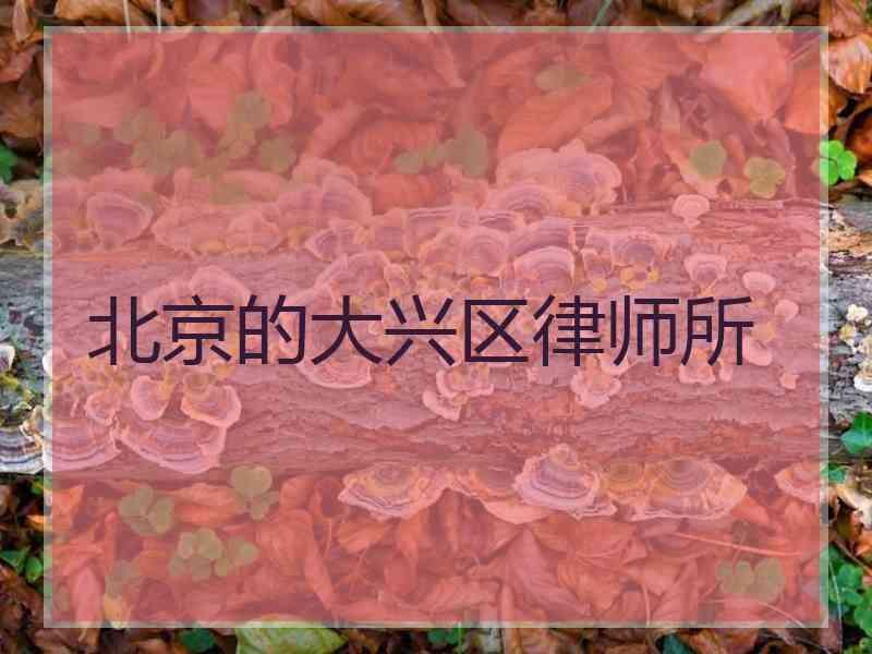 北京的大兴区律师所