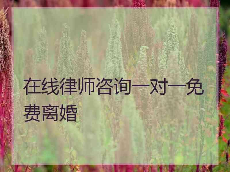 在线律师咨询一对一免费离婚