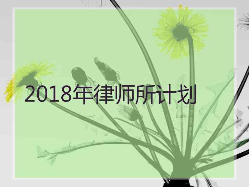 2018年律师所计划