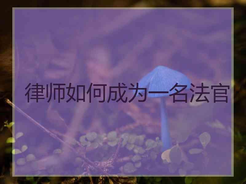 律师如何成为一名法官