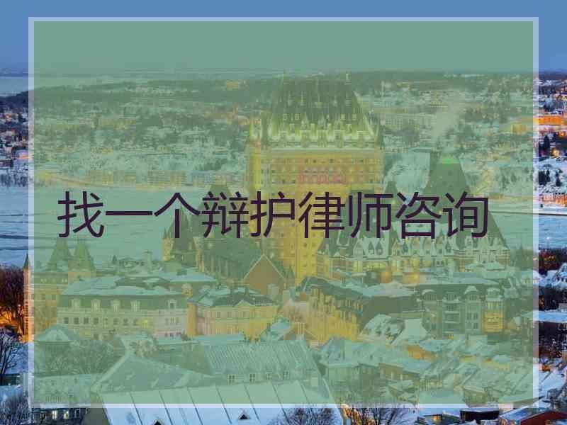 找一个辩护律师咨询