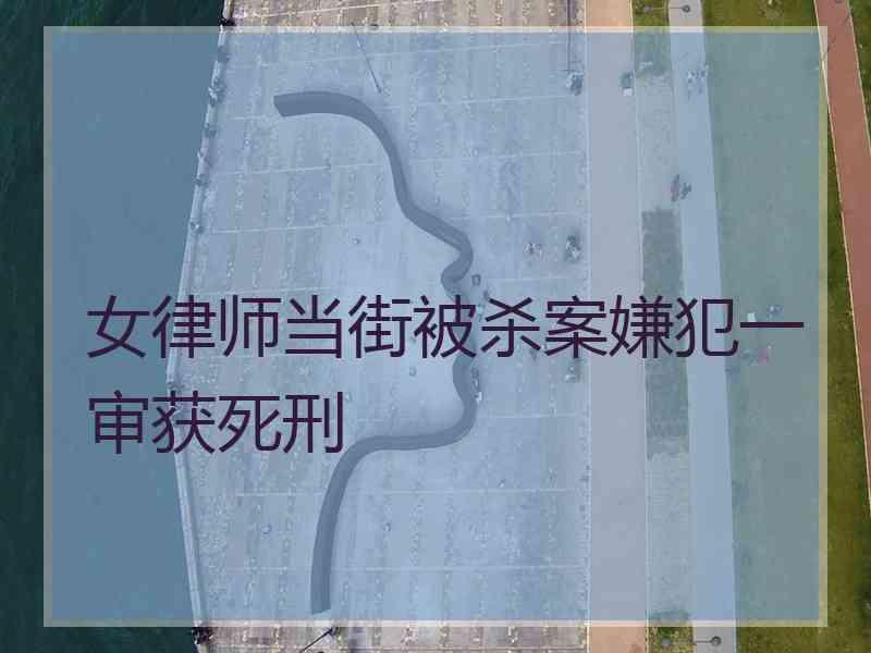 女律师当街被杀案嫌犯一审获死刑