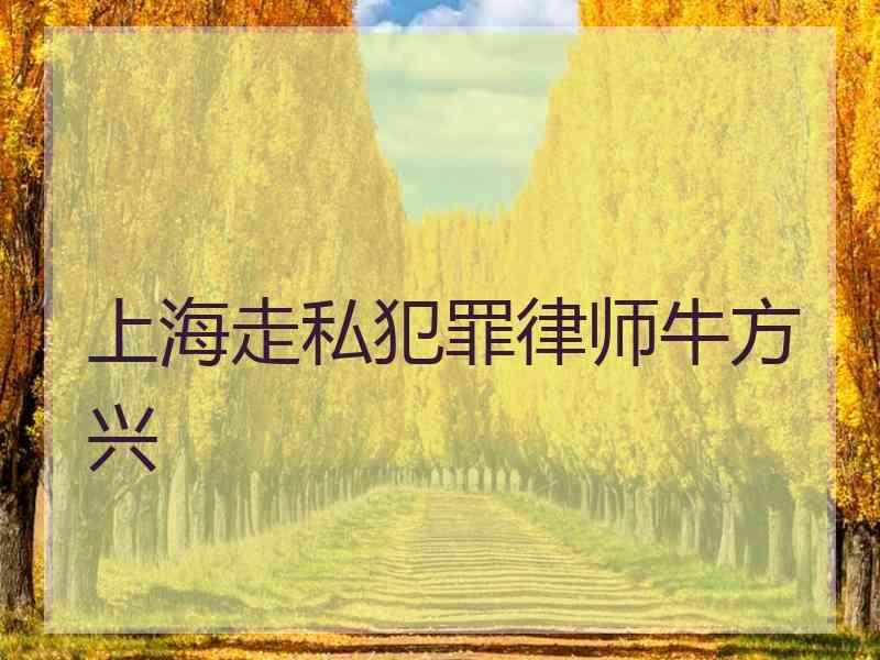 上海走私犯罪律师牛方兴