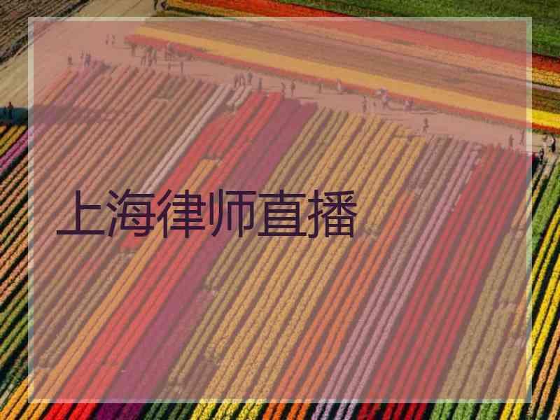 上海律师直播