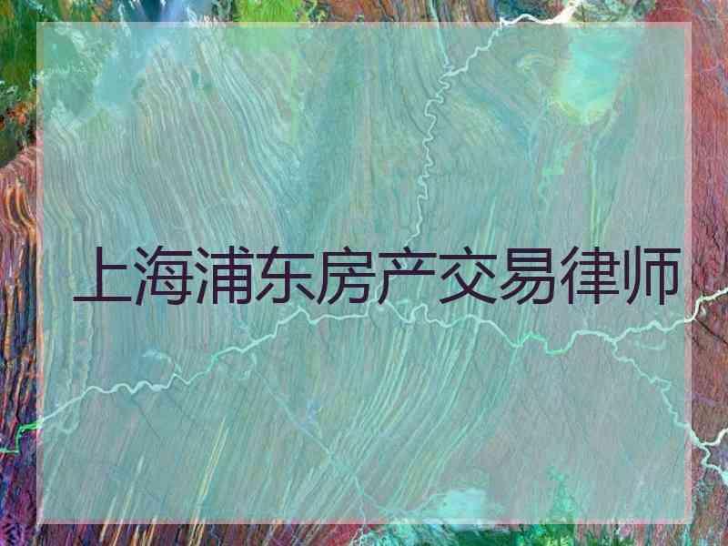 上海浦东房产交易律师