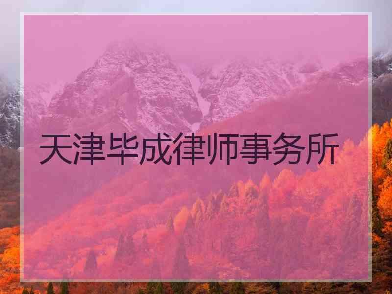 天津毕成律师事务所