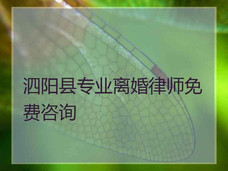 泗阳县专业离婚律师免费咨询