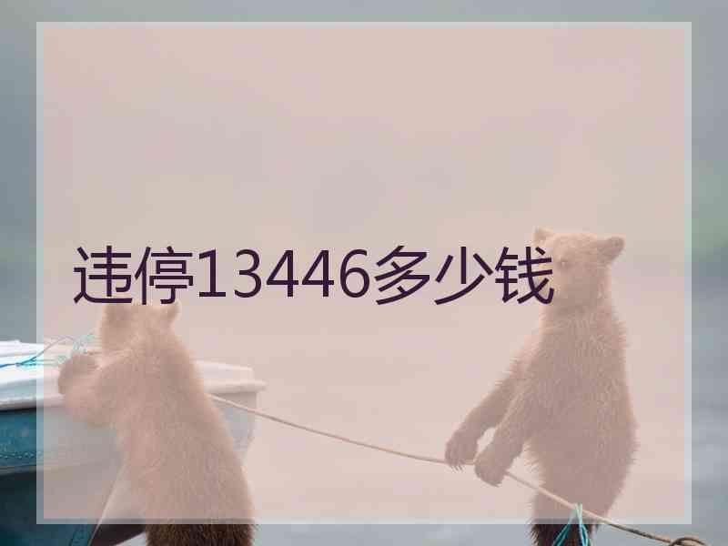 违停13446多少钱