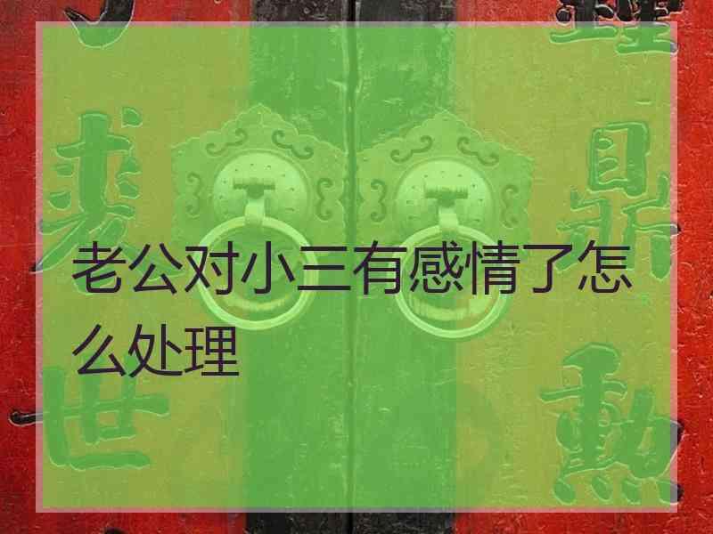 老公对小三有感情了怎么处理