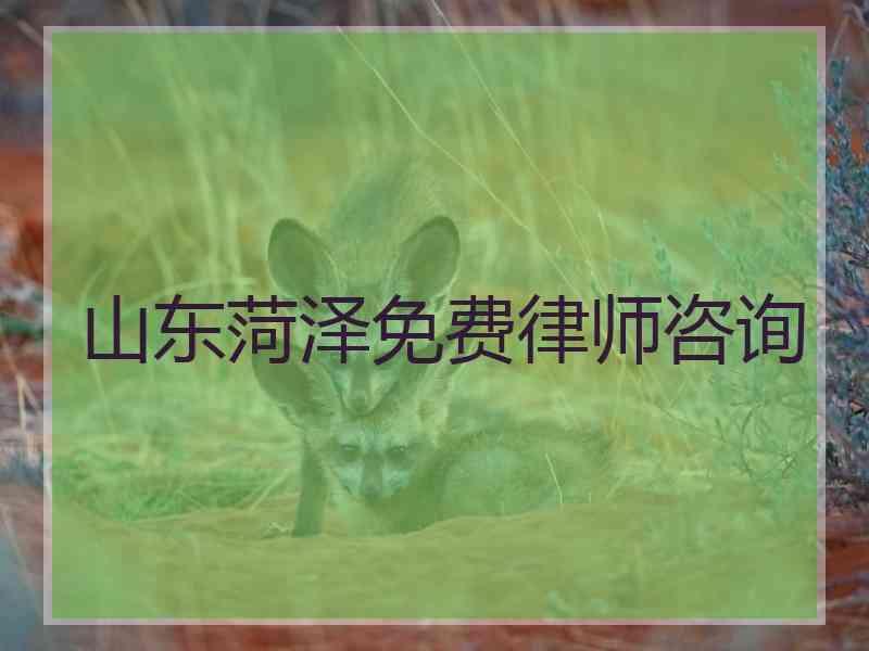 山东菏泽免费律师咨询