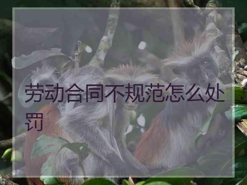 劳动合同不规范怎么处罚