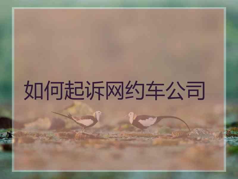 如何起诉网约车公司
