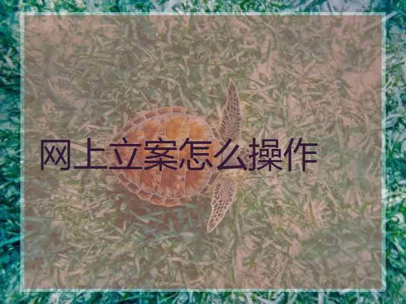 网上立案怎么操作