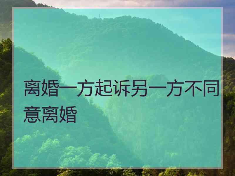 离婚一方起诉另一方不同意离婚