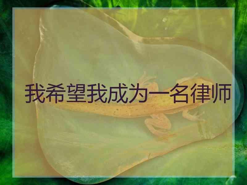 我希望我成为一名律师