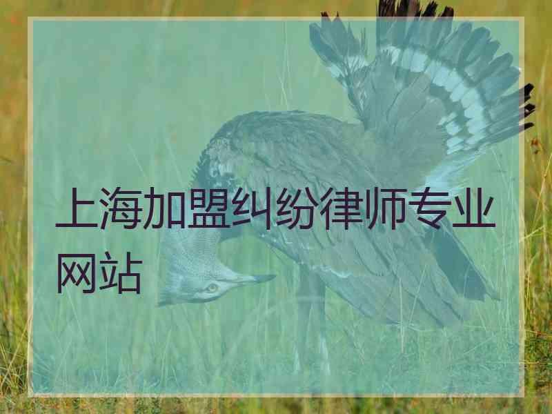 上海加盟纠纷律师专业网站