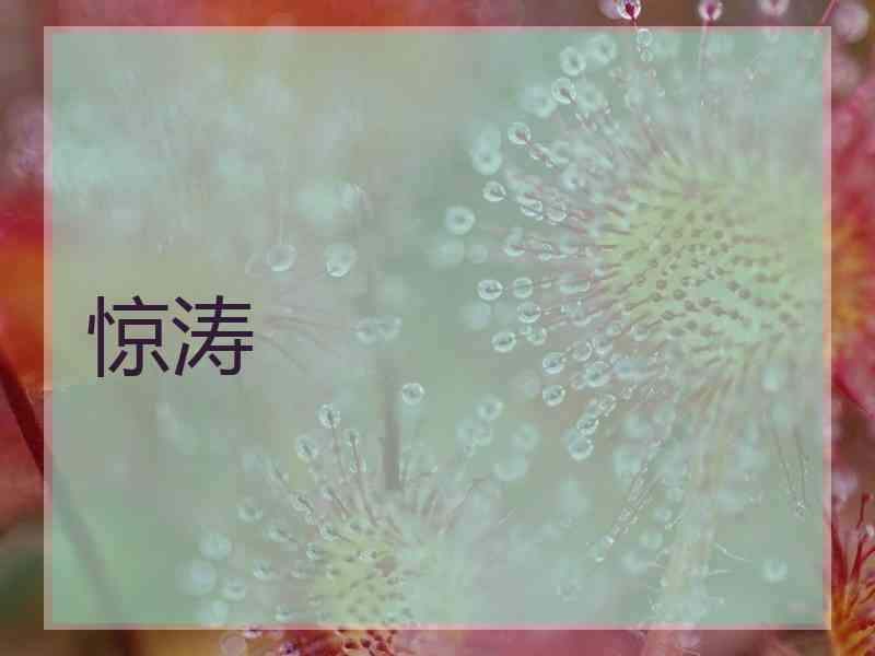 惊涛