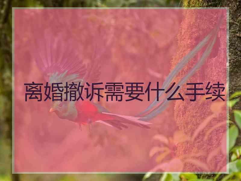 离婚撤诉需要什么手续