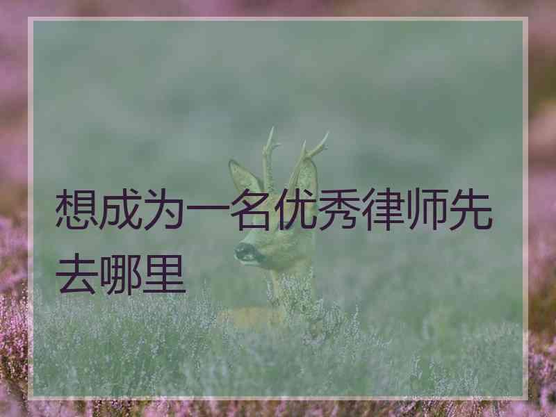 想成为一名优秀律师先去哪里