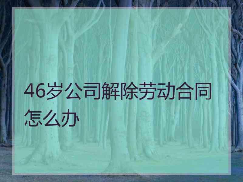 46岁公司解除劳动合同怎么办