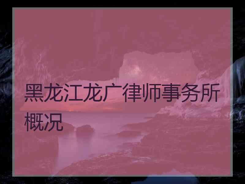 黑龙江龙广律师事务所概况