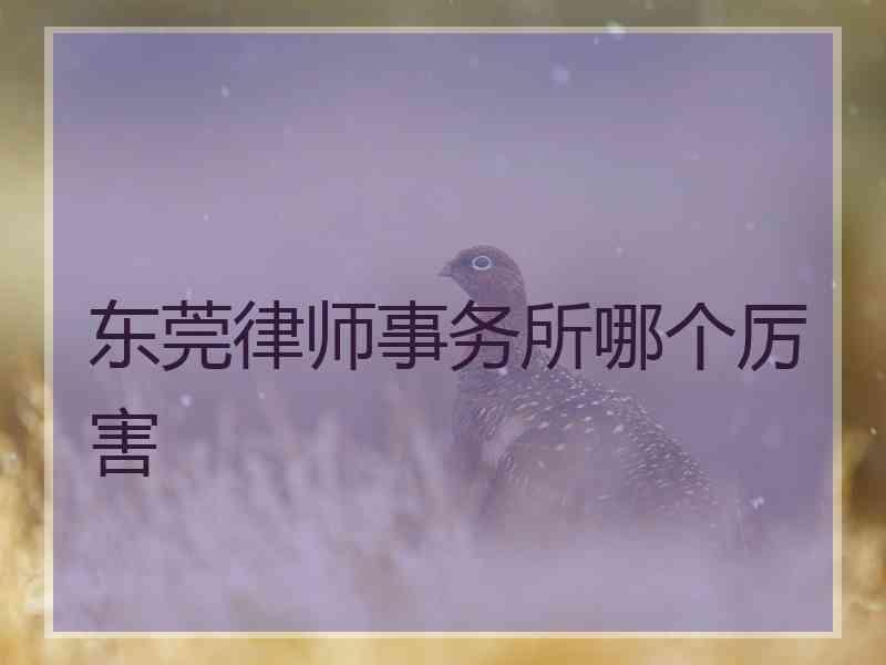 东莞律师事务所哪个厉害