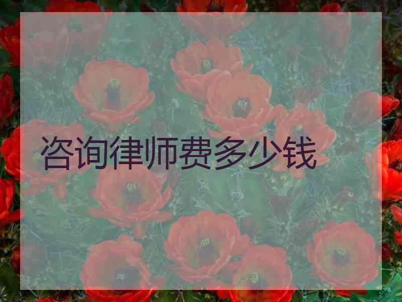 咨询律师费多少钱