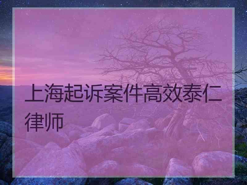 上海起诉案件高效泰仁律师
