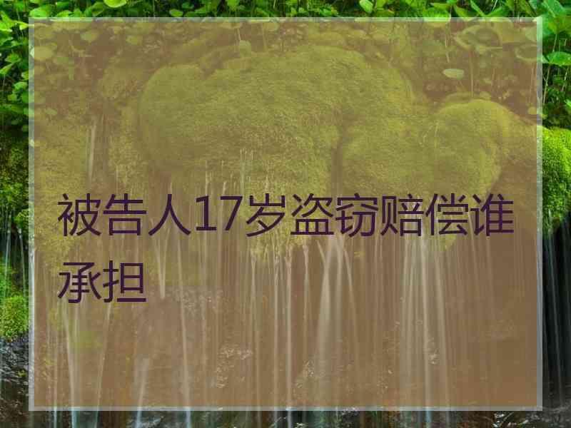 被告人17岁盗窃赔偿谁承担