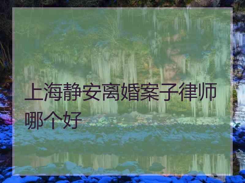 上海静安离婚案子律师哪个好