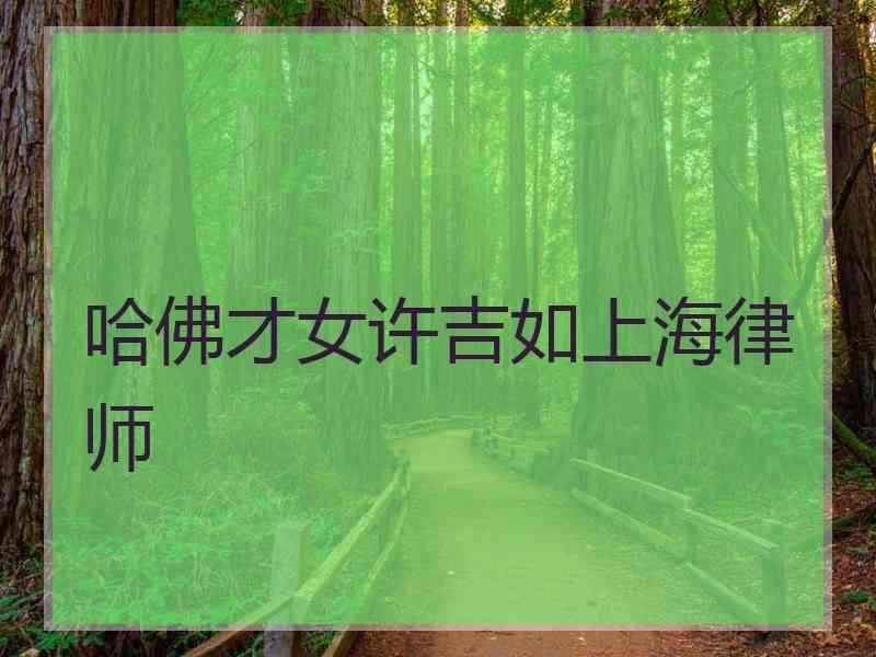 哈佛才女许吉如上海律师
