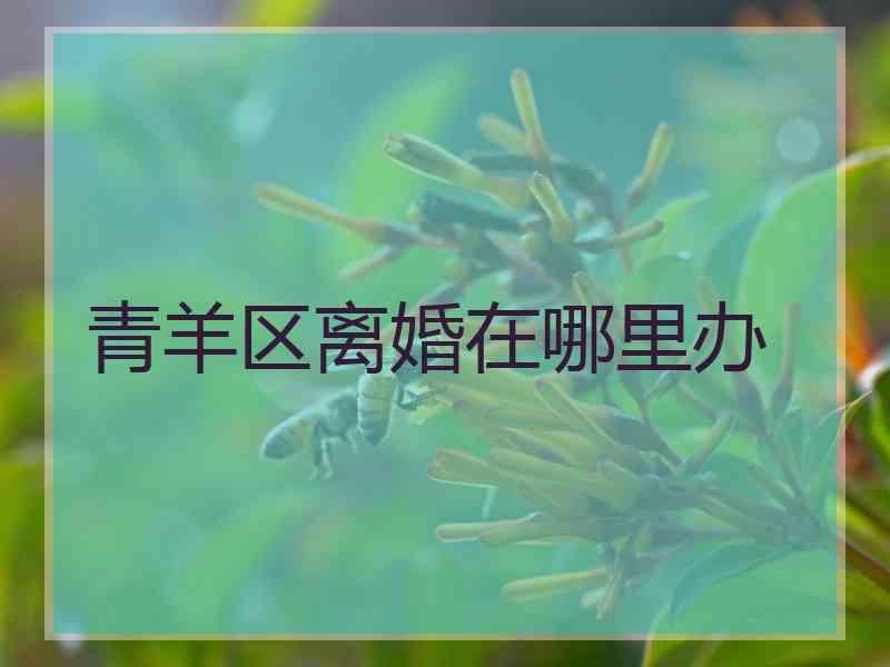 青羊区离婚在哪里办