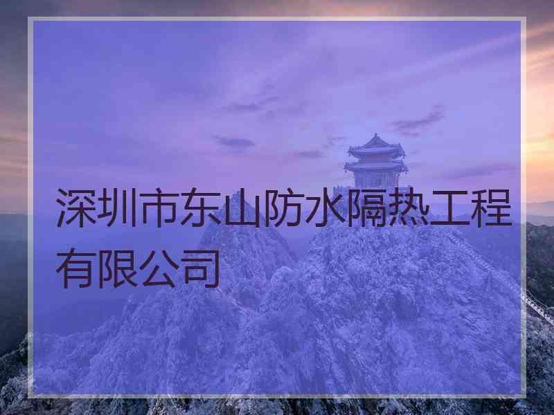 深圳市东山防水隔热工程有限公司