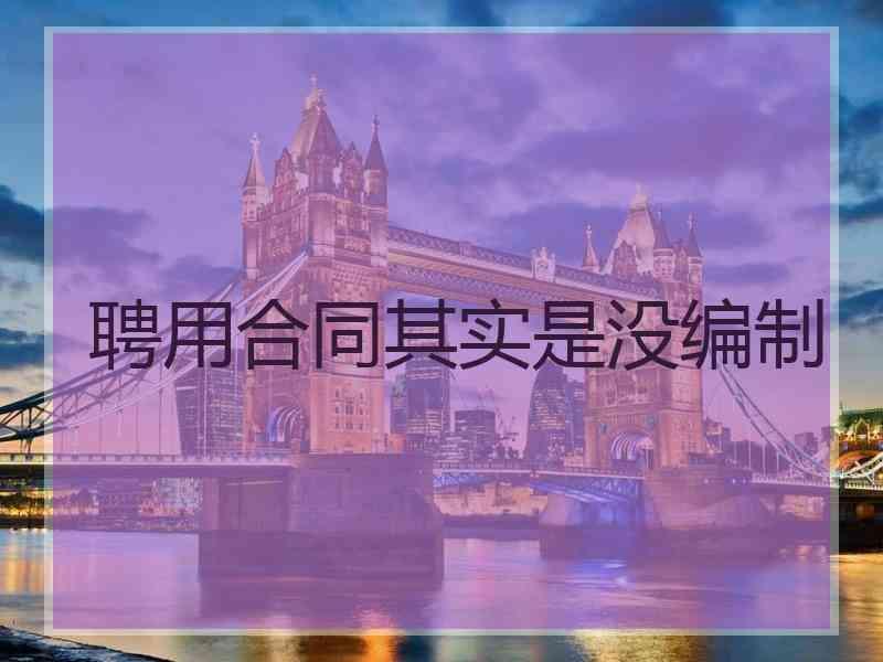 聘用合同其实是没编制