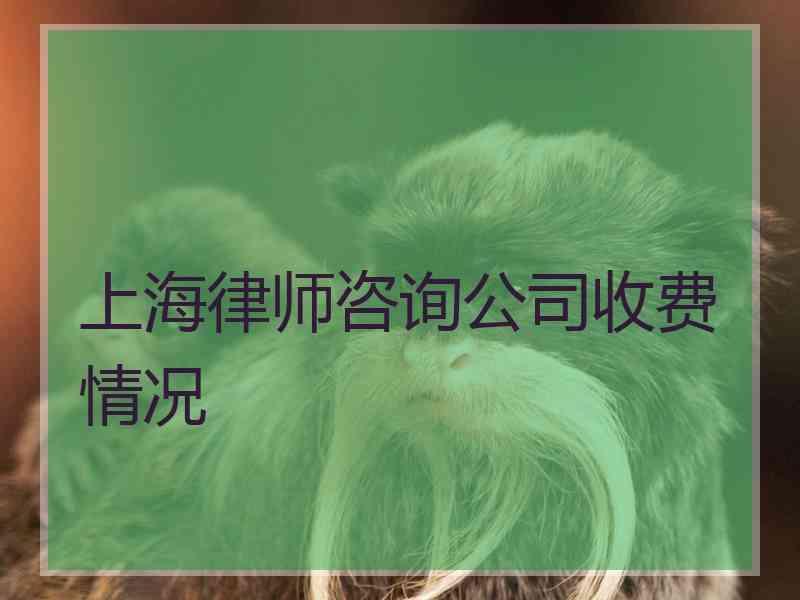 上海律师咨询公司收费情况