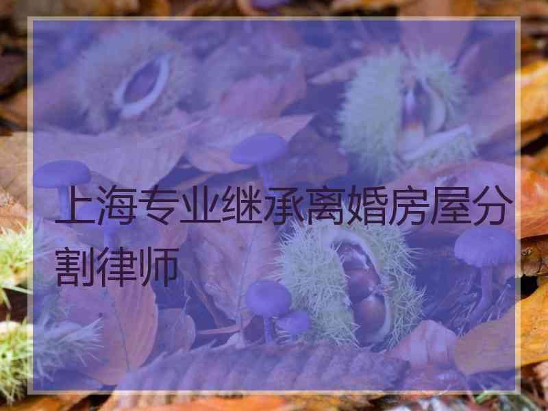 上海专业继承离婚房屋分割律师